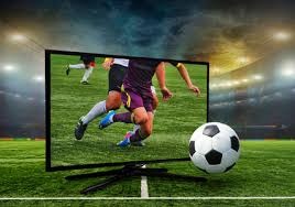 日本职棒校园棒球体系